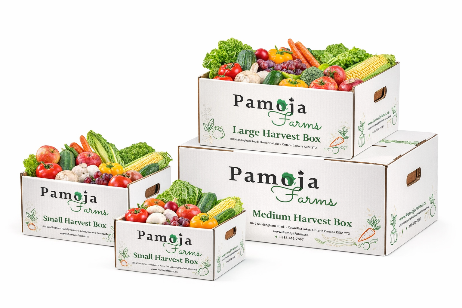 Pamoja Harvest Box